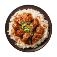 AI generated A plate of teriyaki chicken with rice isolated on a transparent background, top view png