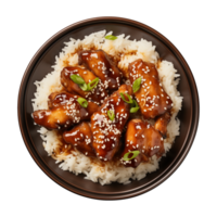 AI generated A plate of teriyaki chicken with rice isolated on a transparent background, top view png