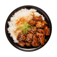 AI generated A plate of teriyaki chicken with rice isolated on a transparent background, top view png