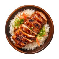 AI generated A plate of teriyaki chicken with rice isolated on a transparent background, top view png