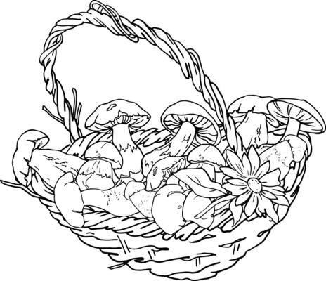 Basket with mushrooms linear drawing. For printing coloring books for children and adults. For printing on dishes, clothing and other items. Harvest, wicker old basket full of mushrooms.