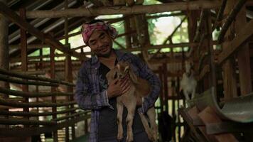 uma Fazenda trabalhador ou uma Fazenda proprietário levantando jovem cabras dentro uma casa de fazenda. video