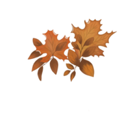 Beautiful bouquet of bright colorful autumn leaves on a transparent background. Can be used as background png