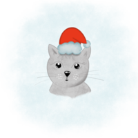 Portrait of a funny cute kitten in a santa hat on a neutral background. Pets on Christmas holidays png