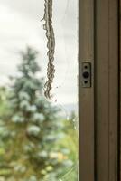 old wooden window with a piece of curtain photo