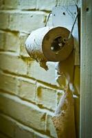 old toilet paper roll on a dilapidated wall photo