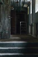 a old spooky cellar corridor photo