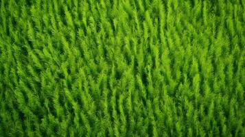 AI generated Close up of green grass texture background photo