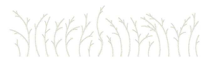 Apricot tree branches set, vector illustration