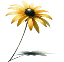 AI generated Watercolor Rudbeckia hirta flower png transparent background, Generative AI free PNG