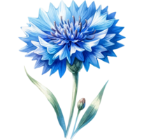 ai generado acuarela florecimiento de maíz flor png transparente fondo, generativo ai gratis png