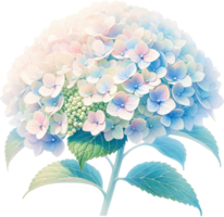 AI generated Watercolor Hydrangea flower png transparent background, Generative AI free PNG