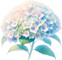 ai gegenereerd waterverf hortensia bloem PNG transparant achtergrond, generatief ai vrij PNG