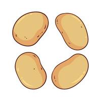 vector illustration of some potatoes