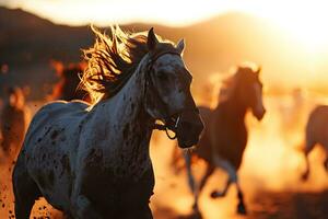 ai generado hermosa caballos corriendo en el prado a puesta de sol. caballos en movimiento foto