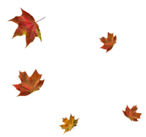 Digital Papier mit fliegend Ahorn Blätter. png