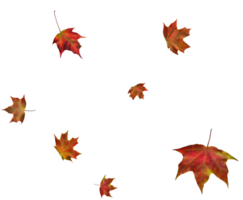 Digital paper with maple leaves. png