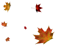 Digital paper with flying maple leaves. png