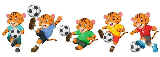 conjunto de Tigre dibujos animados jugando fútbol. vector ilustración