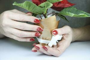 young female hands with beautiful winter manicure design, red color with white snowflakes, Christmas decor photo