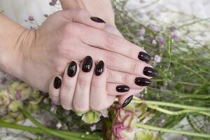 hembra manos con hermosa oscuro borgoña manicura sostener un ramo de flores de Gypsophila foto