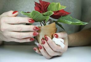 young female hands with beautiful winter manicure design, red color with white snowflakes, Christmas decor photo