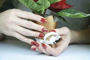 young female hands with beautiful winter manicure design, red color with white snowflakes, Christmas decor photo