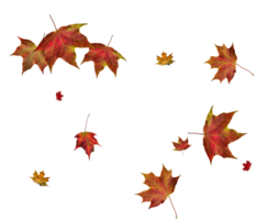 numérique papier avec l'automne érable feuilles. png