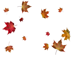 digitaal papier met herfst esdoorn- bladeren. png