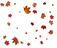 achtergrond met herfst esdoorn- bladeren. png