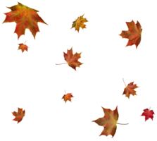 toile de fond avec l'automne érable feuilles png