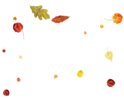 Colorful autumn texture from falling leaves. png