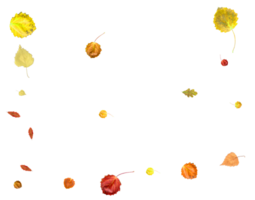 Falling autumn leaves. png