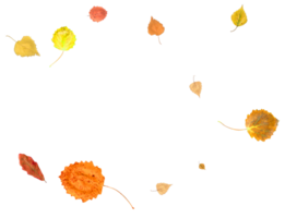 bunt Herbst Hintergrund von fallen Blätter png