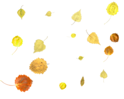 l'automne la nature Contexte de chute feuilles. png