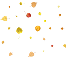 Falling autumn leaves. png