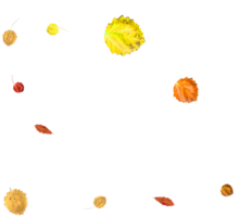 Bright autumn background from falling leaves. png