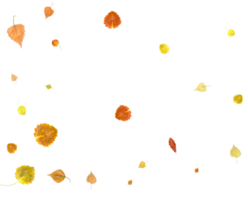 Bright autumn texture from falling natural leaves. png