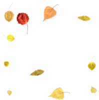 Bright autumn background from falling leaves. png