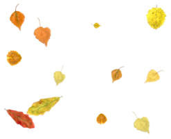 Bright autumn background from falling leaves. png