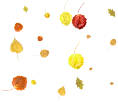 Autumn nature background of falling leaves. png