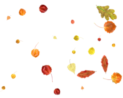 Falling autumn leaves. png