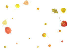 Bright autumn texture from falling natural leaves. png