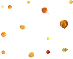 Autumn nature background of falling leaves. png