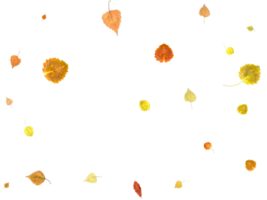 Colorful autumn texture from falling leaves. png