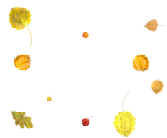 vistoso otoño fondo de que cae hojas png