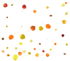 Natural autumn leaves. png