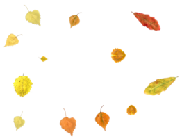 Bright autumn background from falling leaves. png