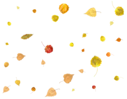 Colorful autumn texture from falling leaves. png