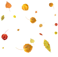 Autumn nature background of falling leaves. png